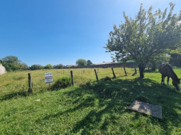 Terreno - Venda - Três Vendas - Pelotas - RS