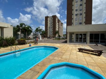Apartamento - Venda - Areal - Pelotas - RS