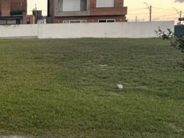 Terreno em Condomínio - Venda - Laranjal - Pelotas - RS
