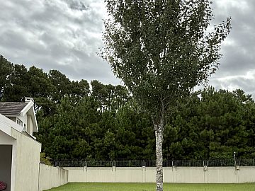 Terreno Condom�nio Veredas