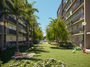 Apartamento - Venda - Areal - Pelotas - RS