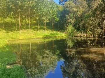 Terreno - Venda - Centro - Canguçu - RS