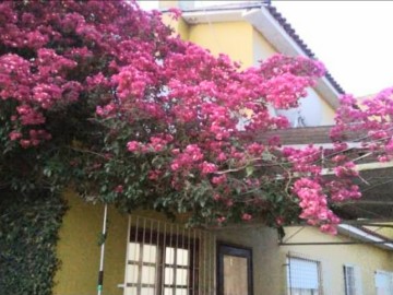 Casa - Venda - Fragata - Pelotas - RS