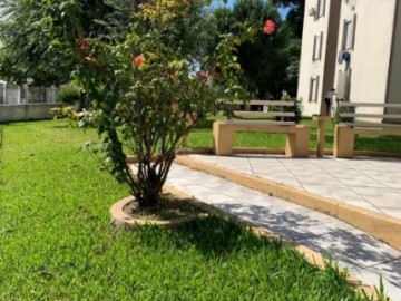 Apartamento - Venda - Centro - Pelotas - RS