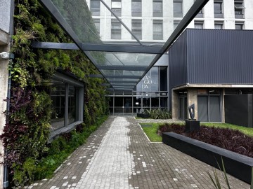 Sala Comercial - Venda - São Gonçalo - Pelotas - RS