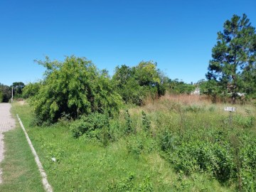 Terreno - Venda - Laranjal - Pelotas - RS