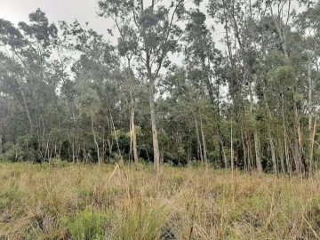 Terreno - Venda - Cerrito - Cerrito - RS